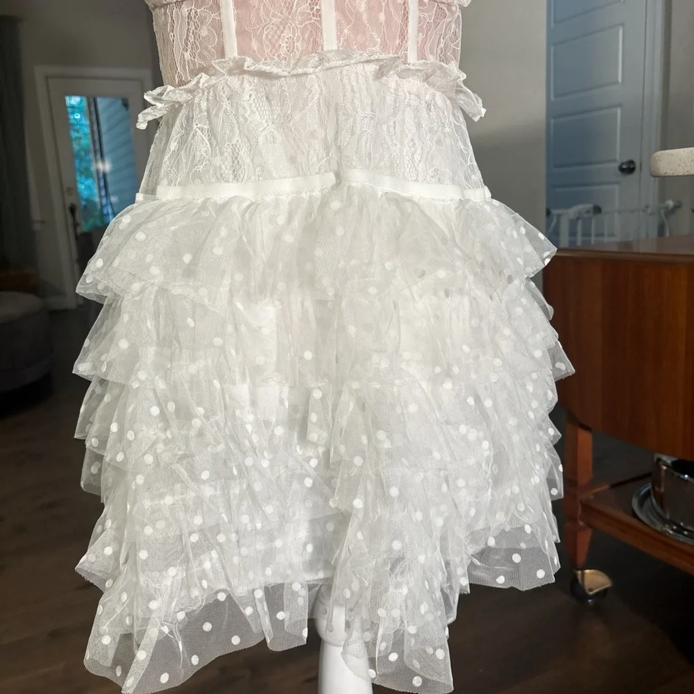 For Love And Lemons White and sheer corset Ruffle Dress - Picture 3 of 5